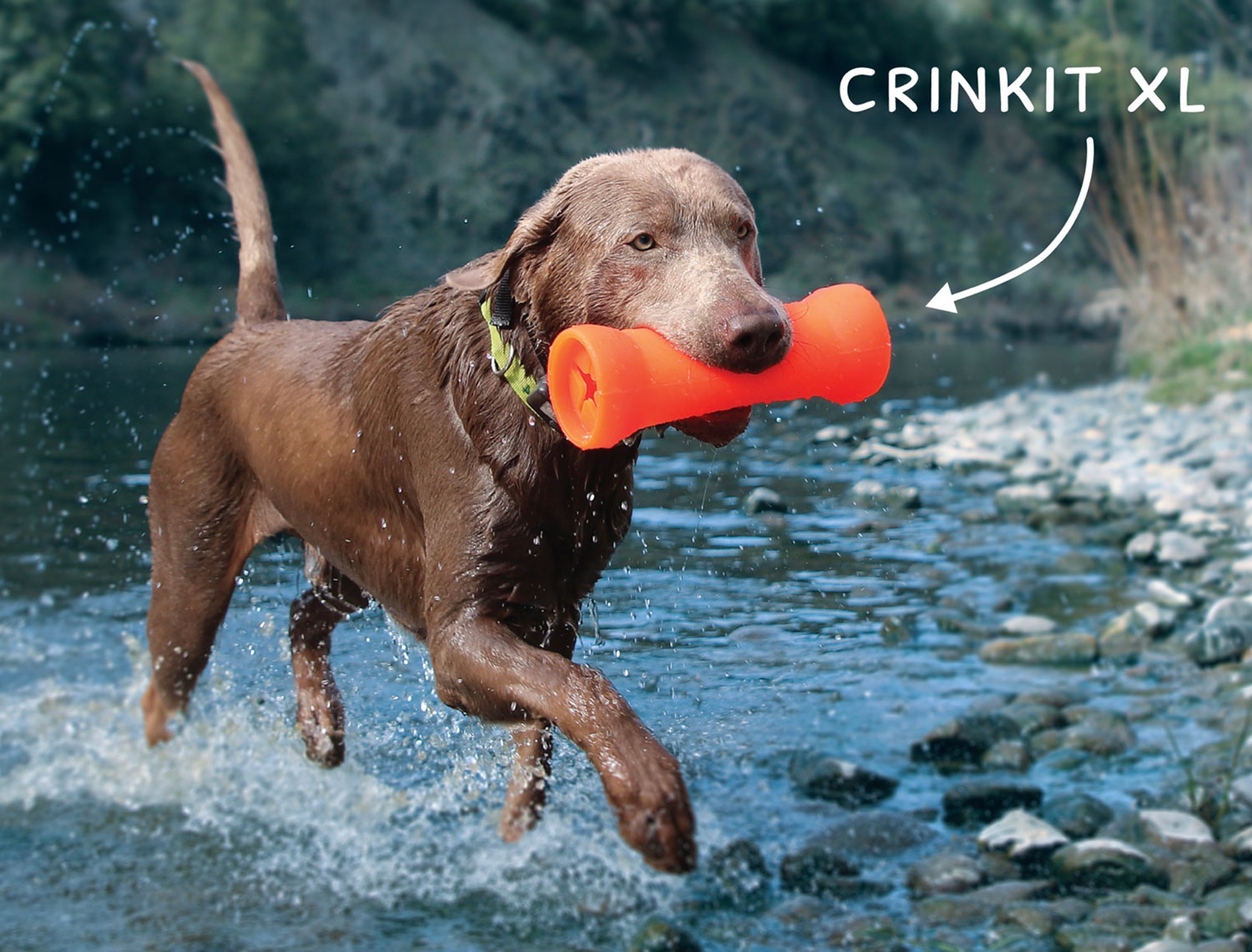 Ruff-Dawg-Crinkit-dog